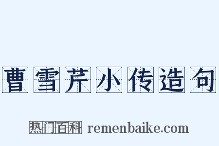 曹雪芹小传造句是什么意思的图片